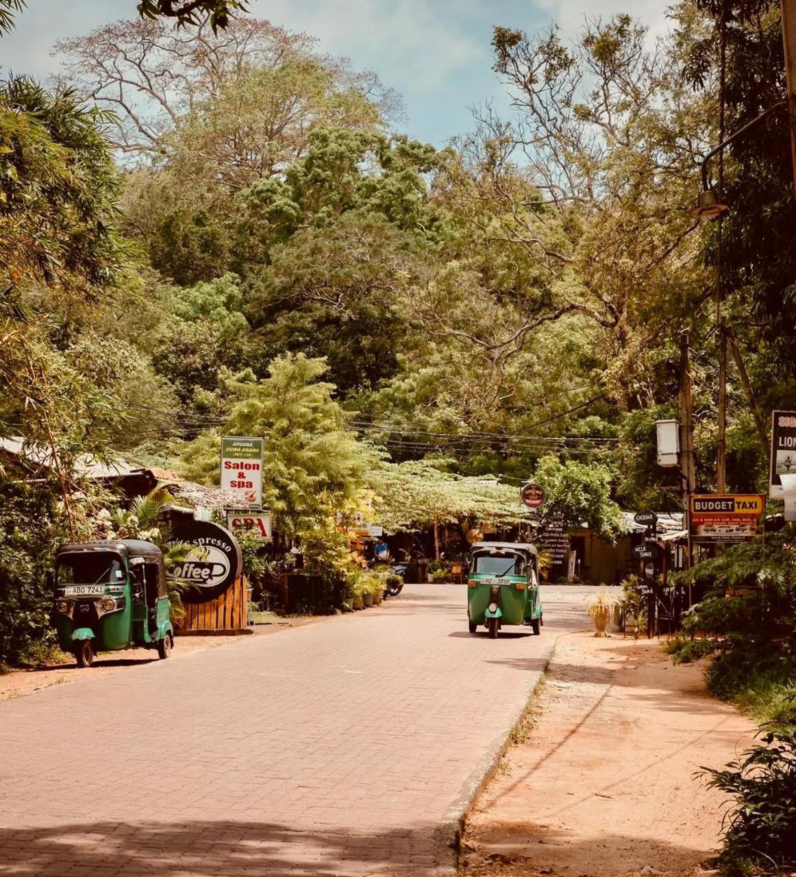 Sigiri Rainbow Lodge Sigiriya Luaran gambar