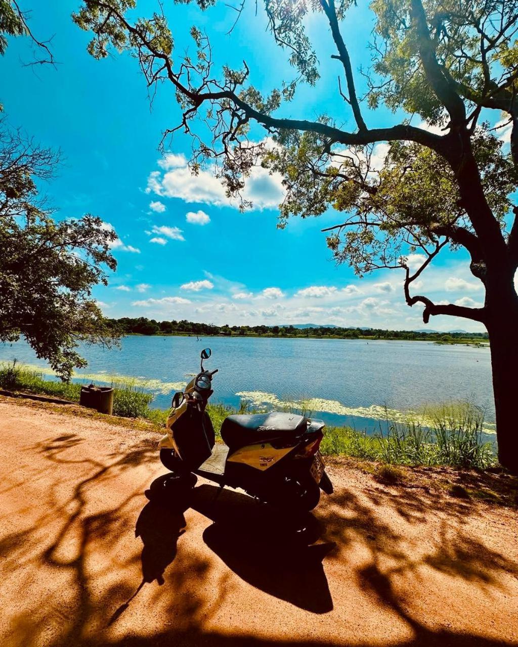 Sigiri Rainbow Lodge Sigiriya Luaran gambar
