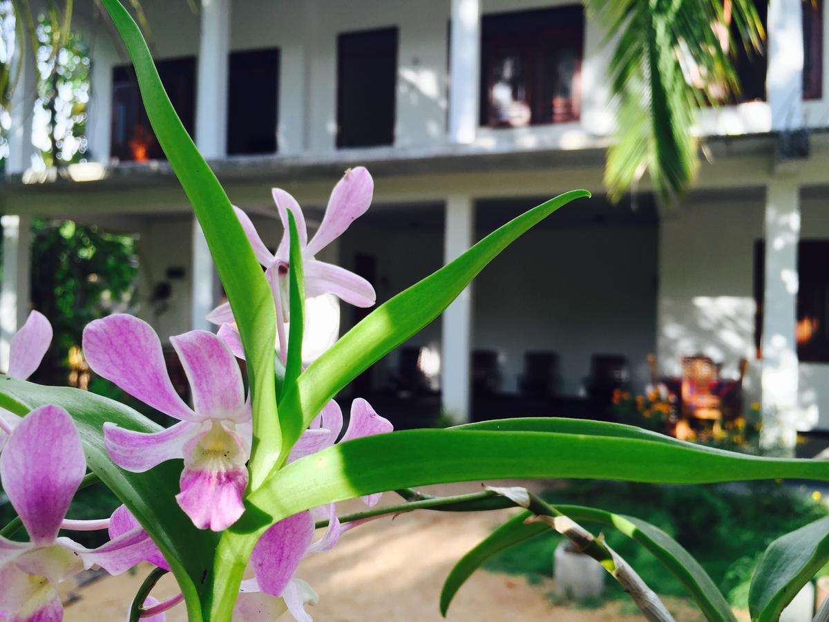 Sigiri Rainbow Lodge Sigiriya Luaran gambar