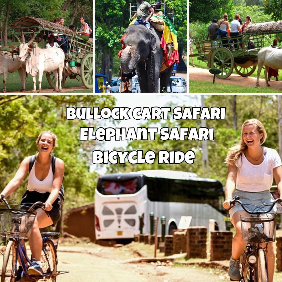 Sigiri Rainbow Lodge Sigiriya Luaran gambar