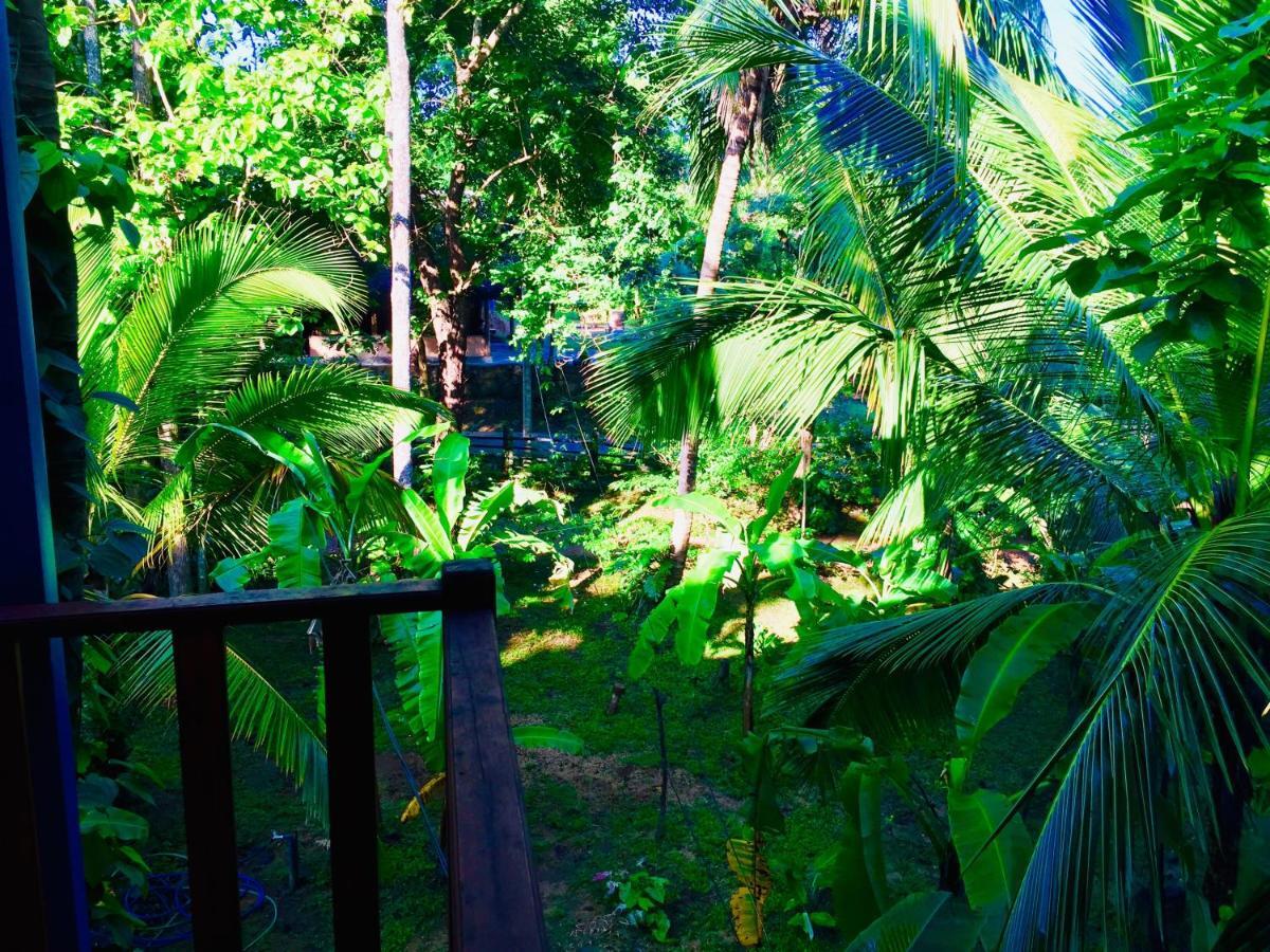 Sigiri Rainbow Lodge Sigiriya Luaran gambar