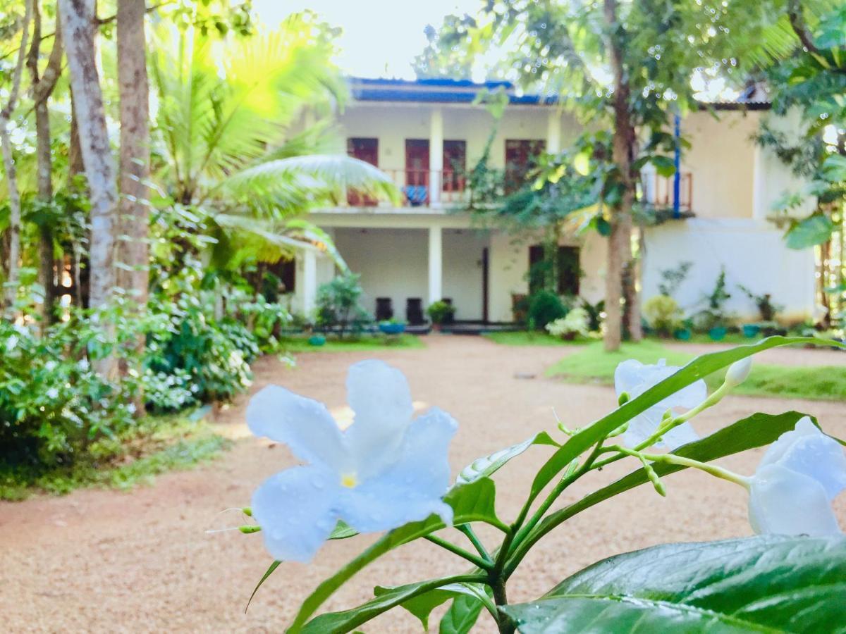 Sigiri Rainbow Lodge Sigiriya Luaran gambar