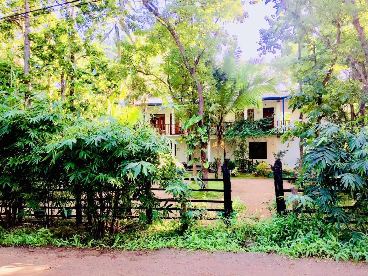 Sigiri Rainbow Lodge Sigiriya Luaran gambar